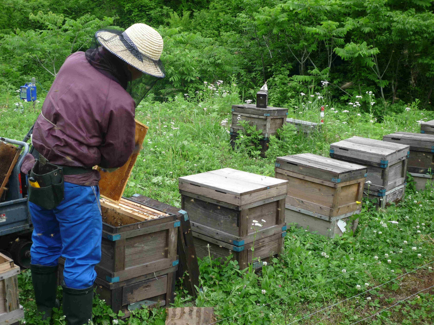 【新米仕込み】会津産天然はちみつ使用 蜂蜜あまざけ 500ml