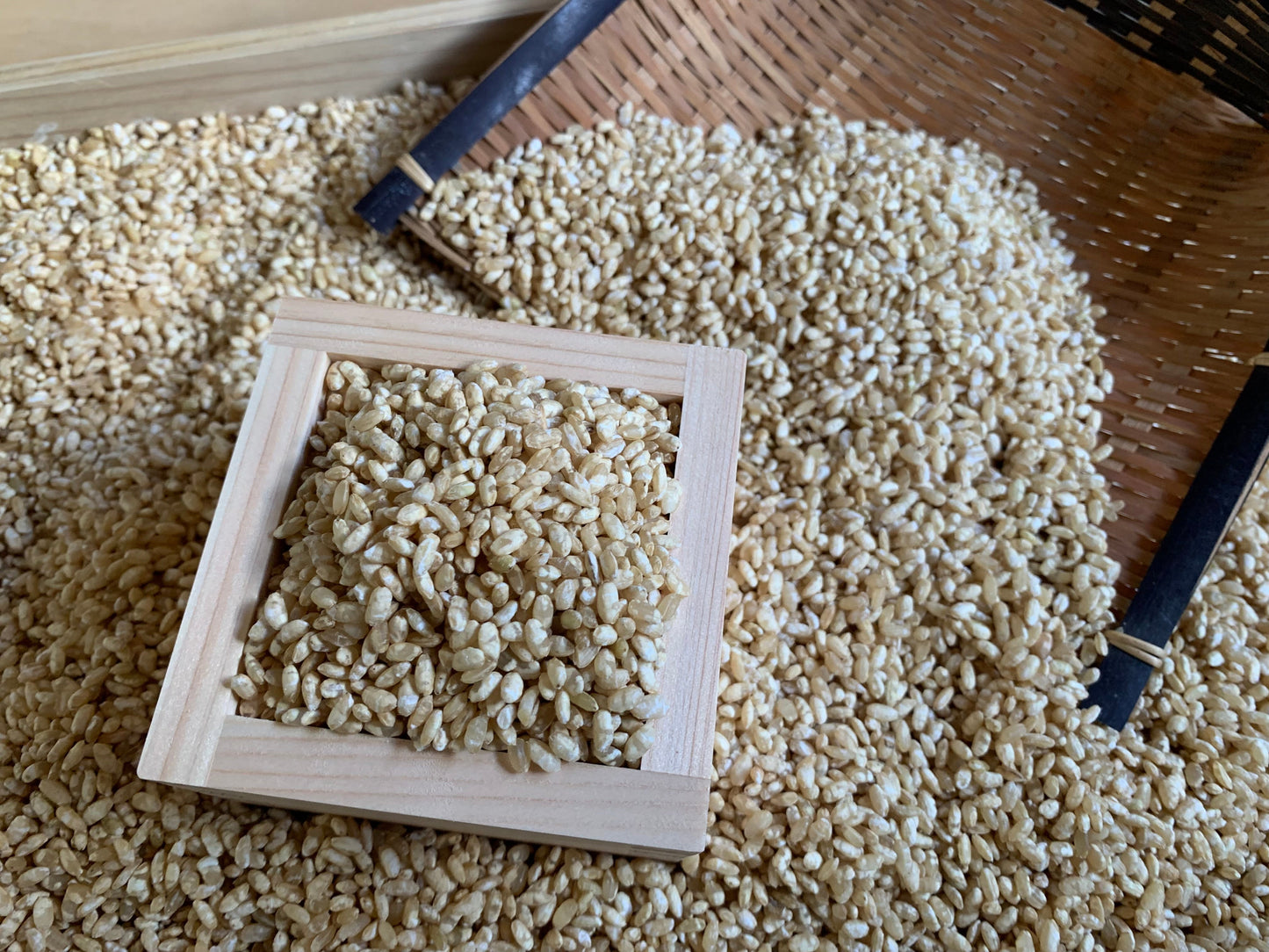 会津玄米味噌 袋詰め1.5㎏