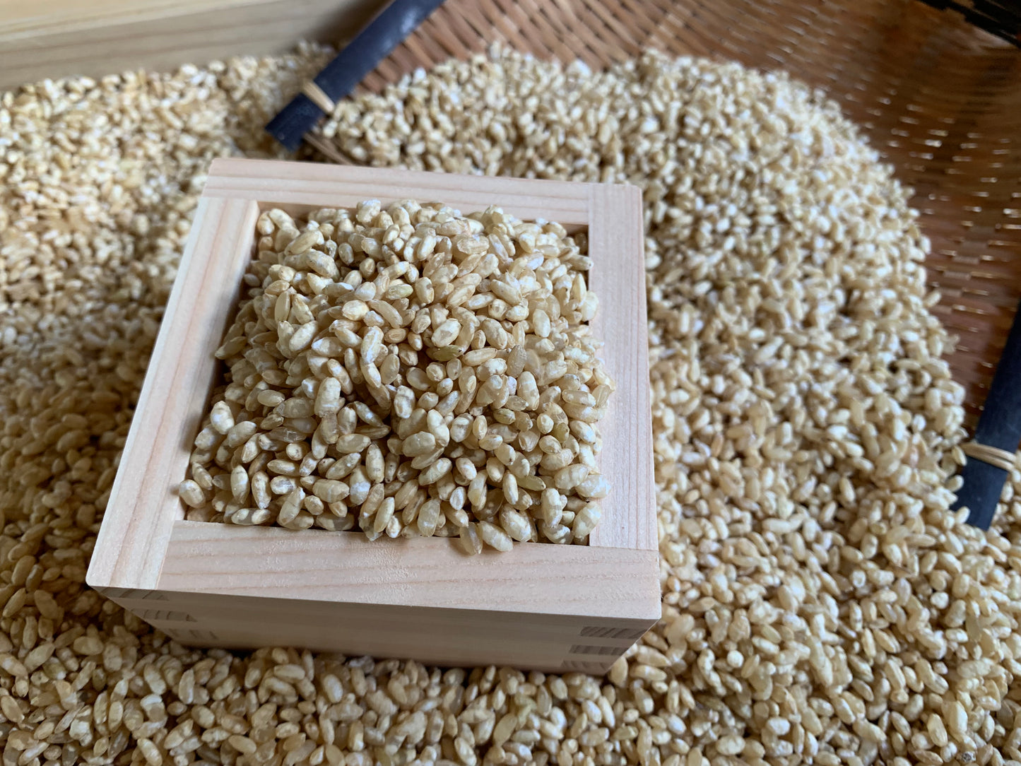 【数量限定】會津玄米しょうゆ