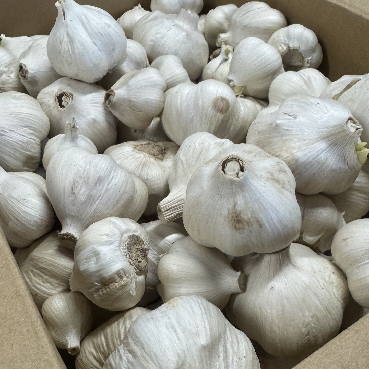 会津産にんにく使用　にんにく醤油麹